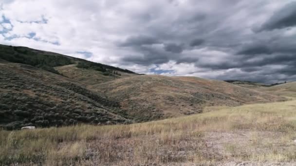 Bridger National Park Wyoming Stany Zjednoczone Ameryki — Wideo stockowe