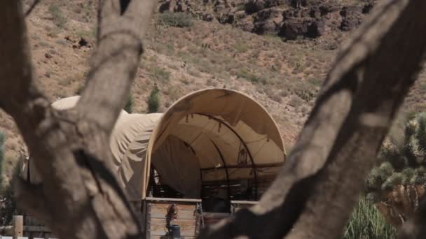 Covered Wagon Old Western Village Arizona Usa Versión Nativa — Vídeos de Stock