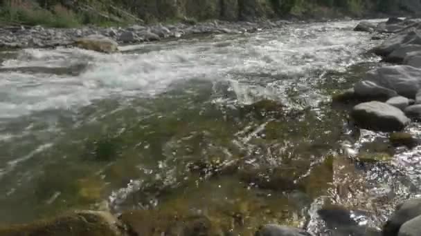 Water Stream Alpes Occidentales Francia — Vídeo de stock