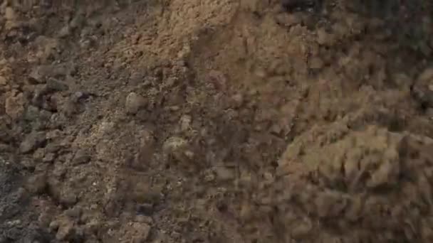 Kazıcı Inşaat Alanında Çalışıyor — Stok video