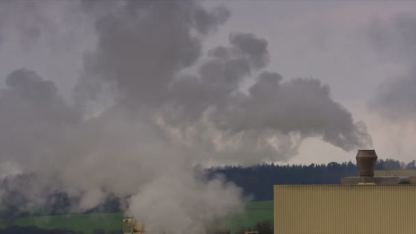 Крупным Планом Кадры Загрязняющей Окружающую Среду Химической Фабрики — стоковое видео