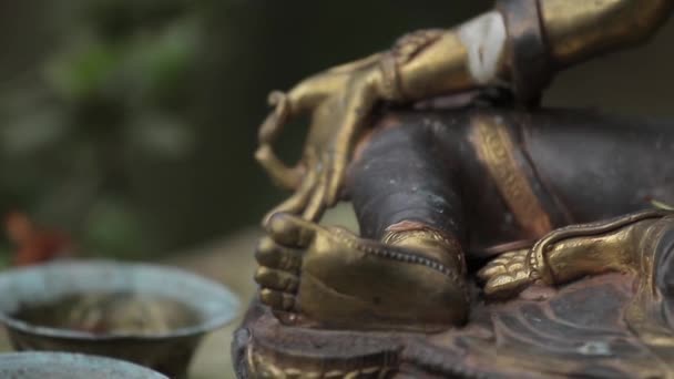 Statue Shiva Vue Près — Video