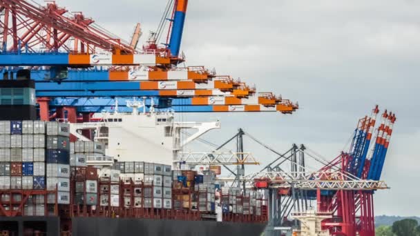 Footage Cargo Port Gantry Cranes — Stock Video