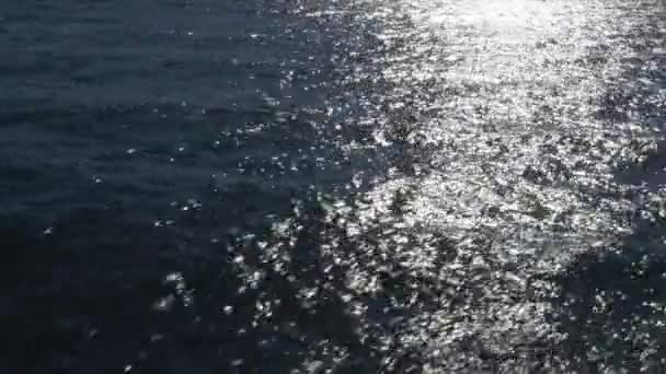 Powierzchnia Wody Morskiej Falami — Wideo stockowe