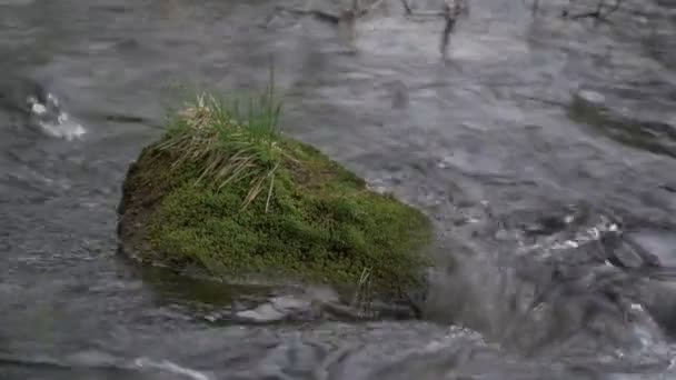 Naturaleza Agua Fluyendo Corriente Vista Diurna Primeros Planos — Vídeos de Stock