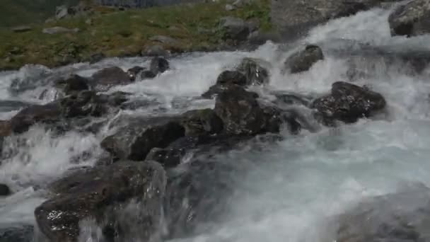 Fluxo Água Natureza Vista Diurna Fechar — Vídeo de Stock