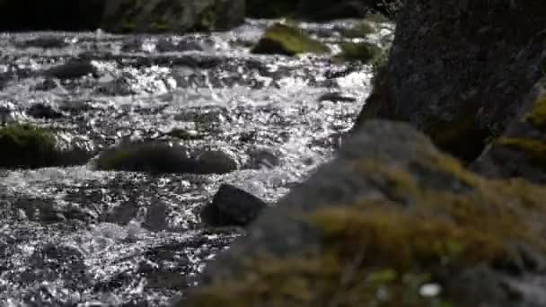 Naturaleza Agua Fluyendo Corriente Vista Diurna Primeros Planos — Vídeo de stock