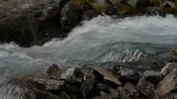 Naturaleza Agua Fluyendo Corriente Vista Diurna Primeros Planos — Vídeos de Stock