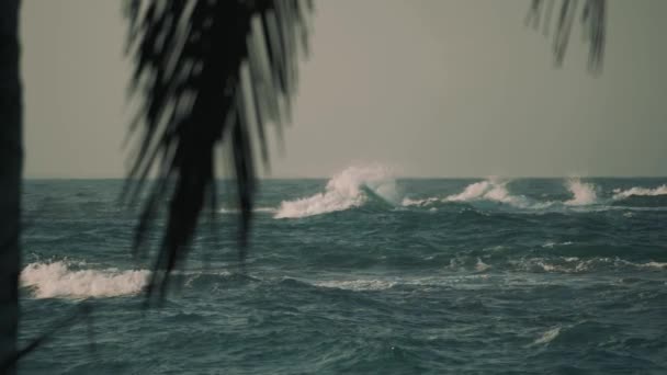 Scenic Footage Beautiful Ocean View Sunny Day — стокове відео