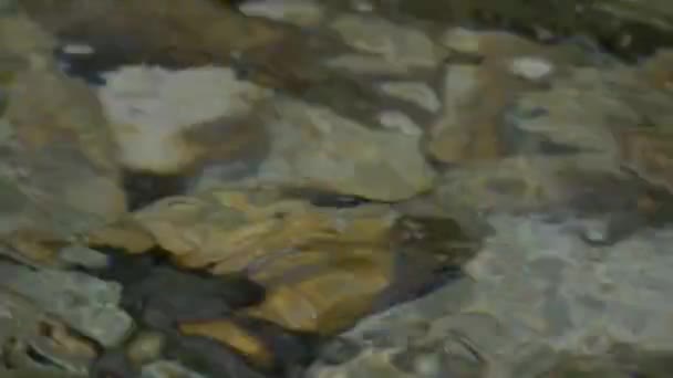 Water Oppervlakte Achtergrond Graded Gestabiliseerde Versie — Stockvideo