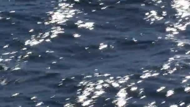 飞越海洋 海浪形成 闪烁和唤醒 — 图库视频影像