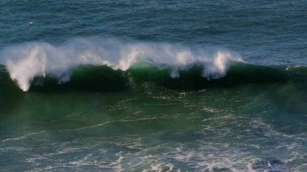 포르투갈 해안에서 거대한 슬로우 — 비디오