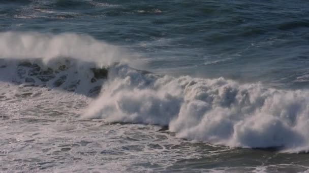포르투갈 해안에서 거대한 슬로우 — 비디오