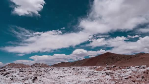 Time Lapse Salt Desert Salar Arizaro Argentina — Vídeo de stock