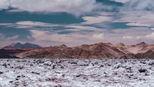 Zaman Geçidi Tuz Çölü Salar Arizaro Arjantin — Stok video