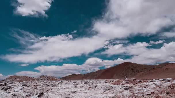 Zaman Geçidi Tuz Çölü Salar Arizaro Arjantin — Stok video