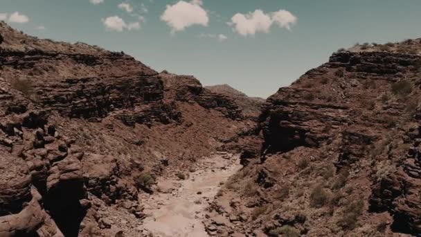 Aerial Gorge Valle Luna Αργεντινή — Αρχείο Βίντεο