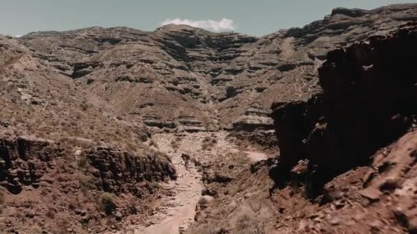 Aerial Gorge Valle Luna Αργεντινή — Αρχείο Βίντεο