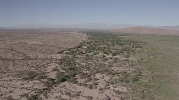 アルゼンチン ネグロ周辺の空中風景 — ストック動画