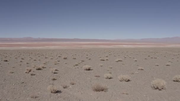 Piękny Widok Góry Salar Pocitos Argentyna — Wideo stockowe