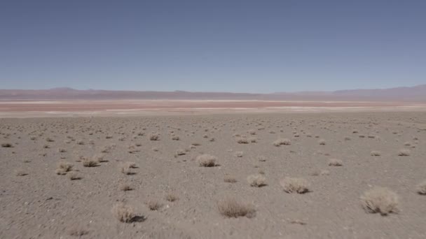 Güzel Hava Manzarası Salar Pocitos Arjantin — Stok video