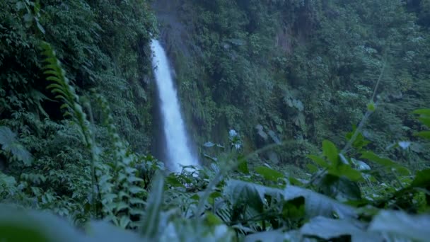 Beautiful View Waterfall Catarata Paz Costa Rica — стокове відео