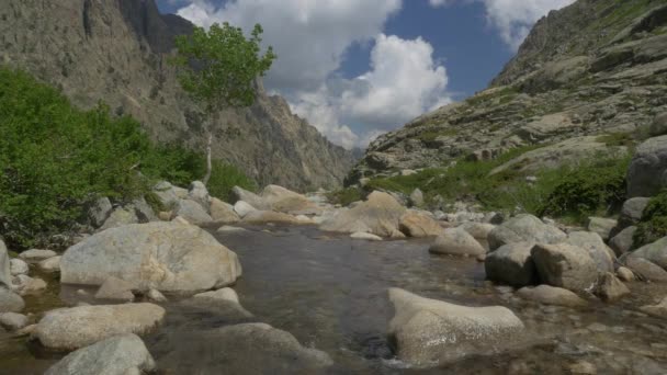 Restonica Valley Κορσική Γαλλία — Αρχείο Βίντεο