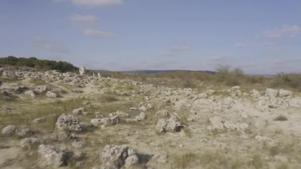 Stone Forest Pobiti Kamani Bulgarien — Stockvideo