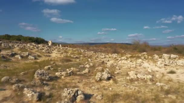 Каменный Лес Побити Камани Болгария — стоковое видео