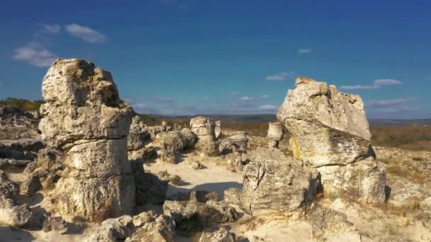 Vista Aérea Pedra Floresta Pobiti Kamani Bulgária — Vídeo de Stock