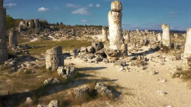 Kamienny Las Pobiti Kamani Bułgaria — Wideo stockowe