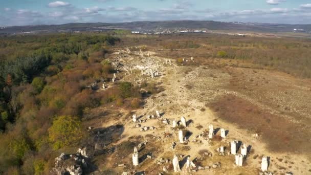 Stone Forest Pobiti Kamani Bulgaria — Stock Video