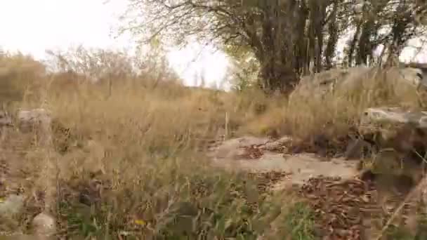 ウォーキング アット スヴィルチヴィッサ洞窟 ブルガリア グラウンド — ストック動画