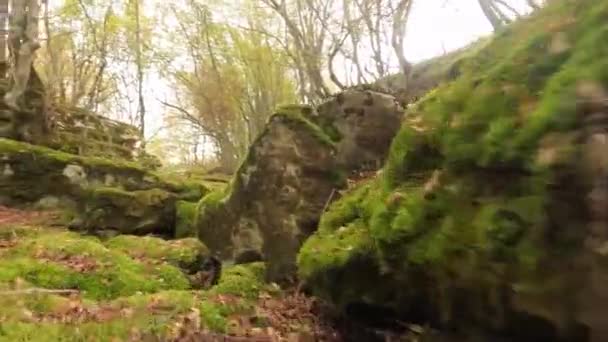 Camminando Presso Grotta Svirchovitsa Bulgaria Ground Cam — Video Stock