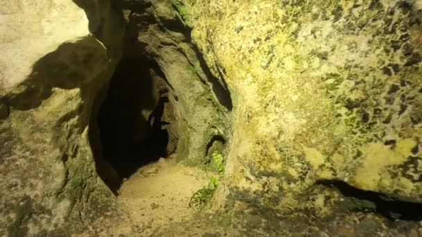 Walking Svirchovitsa Cave Bulgaria Ground Cam — Stock video