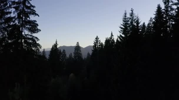 Bulgaristan Daki Smoljan Rodop Dağlarının Havadan Görünümü — Stok video