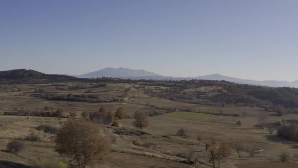 Навколишнє Середовище Національного Парку Пірін Болгарія Повітряний День Переглянути — стокове відео