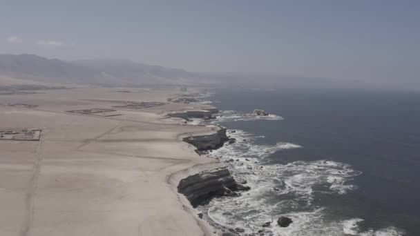 Aerial Portada Coastline Antofagasta Chile — Stock Video