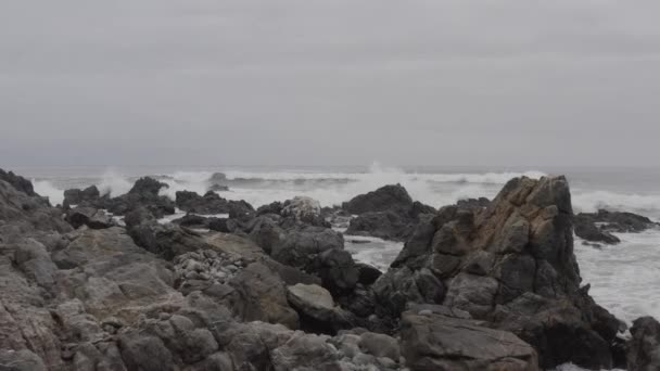 Antenne Strand Der Küste Des Pan Azucar Nationalparks Chile Stock-Filmmaterial