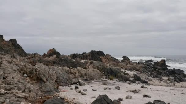 Aérea Playa Costa Del Parque Nacional Pan Azucar Chile — Vídeo de stock