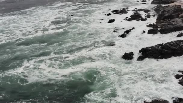 Aerial Beach Coast Pan Azucar National Park Χιλή — Αρχείο Βίντεο