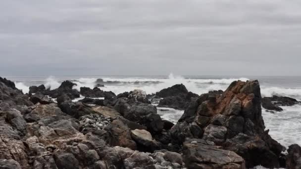 Antenne Strand Der Küste Des Pan Azucar Nationalparks Chile Videoclip