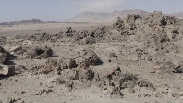 Pan Azucar Ulusal Parkı Nın Kıyısındaki Sahil Manzarası Şili — Stok video