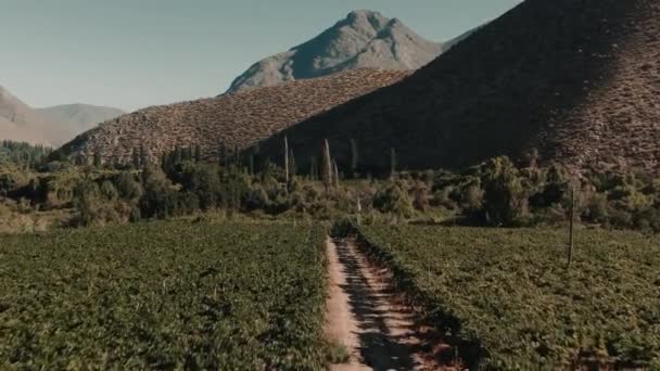 Повітряний Тулахуен Будинок Лапіслазулі Чилі — стокове відео