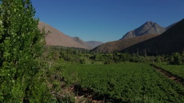Aerial Tulahuen Hogar Los Lapislazuli Chile — Vídeo de stock