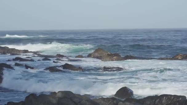 Wunderschöne Chilenische Küste Natur — Stockvideo