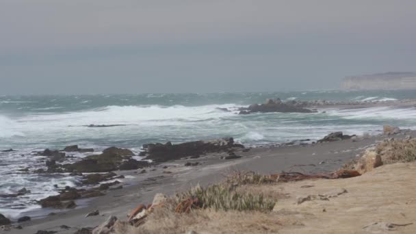 Красивая Чилийская Береговая Линия Природа Лицензионные Стоковые Видеоролики