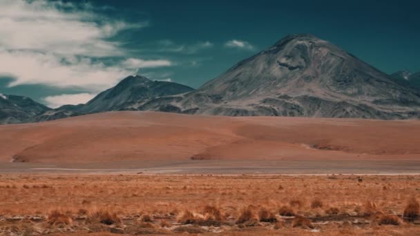 Panned View Spouting Putana Volcano Chile — Vídeo de Stock