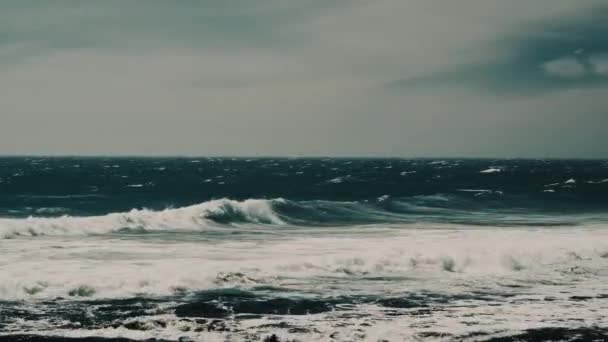 Красива Чилійська Берегова Лінія Природа — стокове відео