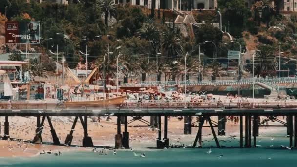 Pier Der Playa Caleta Portales Mit Tausenden Von Möwen Und — Stockvideo